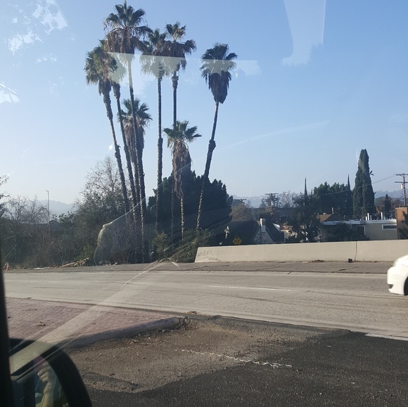 Meet your Posher, Margaret - Picture 1 of 1